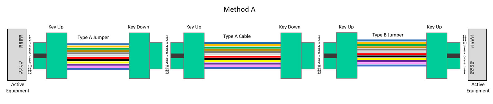 Type A MTP trunk assemblies