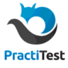 PractiTest logo