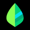 Mint logo