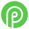 Payid19.com icon